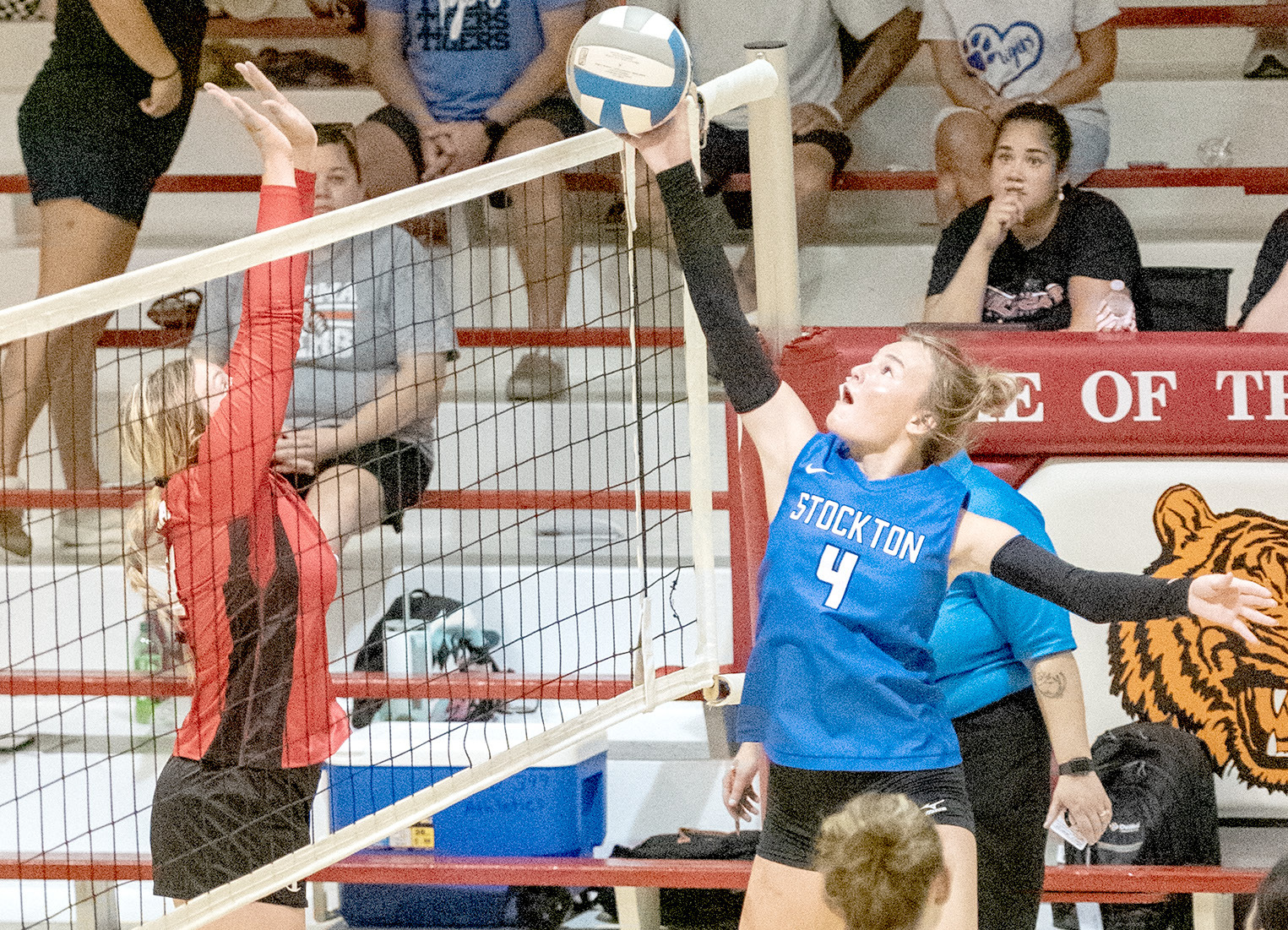 Couse Stockton Lady Tiger Brooklyn Couse | Sentinel-Times