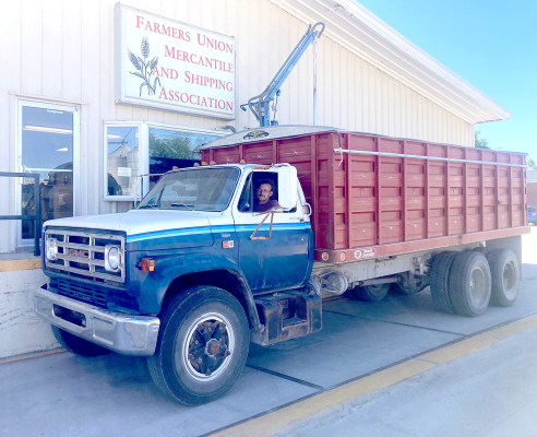 JD BAUGHMAN brought the first load of wheat to the Stockton Farmers Union Mercantile and Shipping Association on Thursday, June 11th. The wheat tested 20.7 percent moisture with a test weight of 64.1 pounds per bushel.