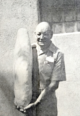 THIS UNUSUALLY LARGE BANANA SQUASH was a product of Joe Brumbaugh’s garden during the summer of 1976. The squash was 32 1/2 inches in length and weighed 30 pounds. The seed Brumbaugh used came from a squash he had grown the year before. When asked about his secret for such large produce, he named “mulching” his garden had to be the reason.