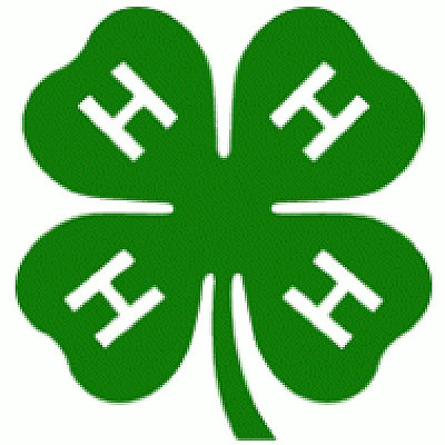 4-H