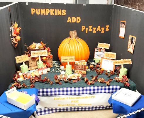 FCE BOOTH DISPLAY at the Rooks County Free Fair.