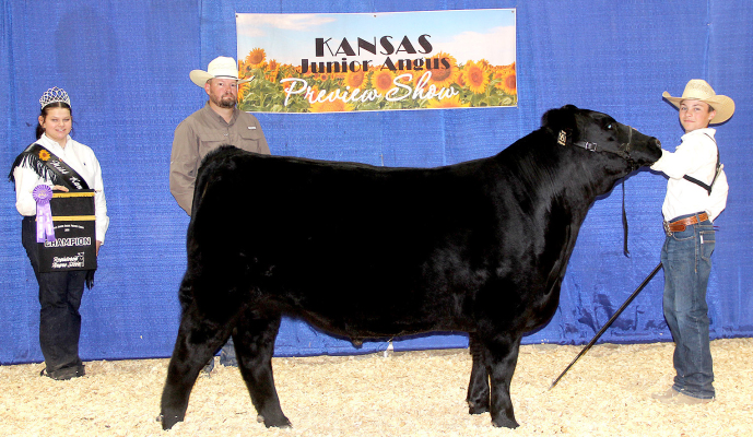 ROSE DRI STEVE 5151 won grand champion steer at the 2026 Kansas Junior Angus Association Preview Show, June 6-7 in Hutchinson, Kan. Eli Atkisson, Stockton, Kan., owns the March 2025 son of Colburn Primo 5153. Webb Fields, Bryan, Texas, evaluated the 73 entries. (Photo by Jeff Mafi, American Angus Association)