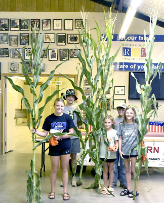 KEEPING IT INTHE FAMILY, the Muirs came out in full force with their entries for the Nutrien Ag Solutions Tallest Corn Plant Contest at this year's Rooks County Free Fair! Pictured are (from left) Remy Muir, Lane Muir, Owen Muir, Cohen Muir, and Norah Muir.