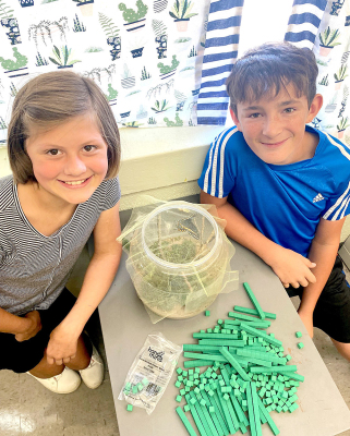 Butterflies Everywhere!