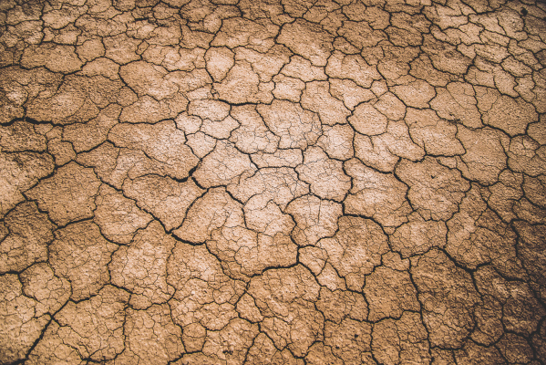 Drought