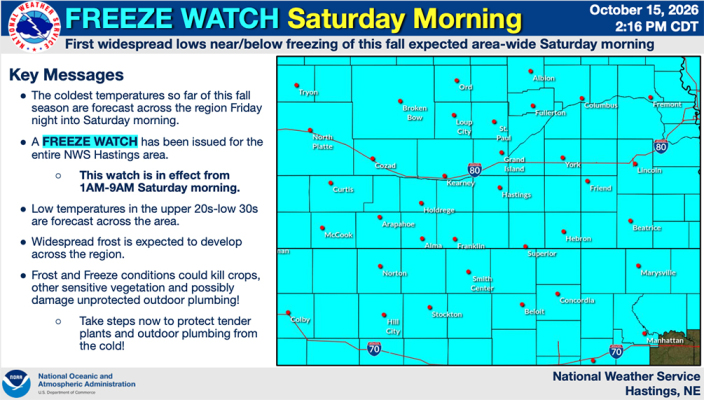 Freeze Watch