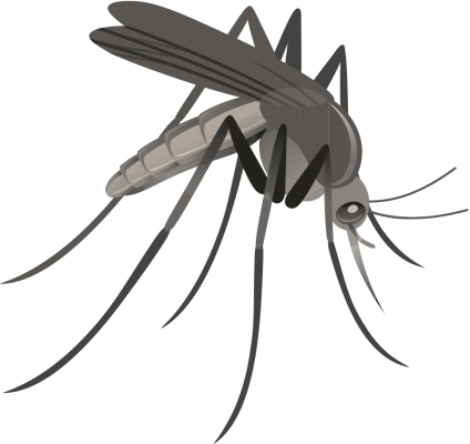 Mosquito Control