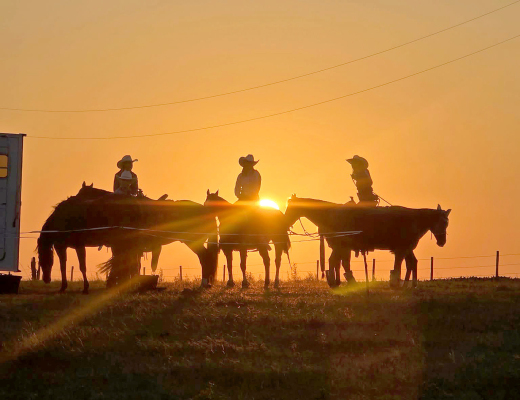 SILHOUETTED against the fading glow of the Phillipsburg Rodeo’s final night, three cowgirls working the rodeo share a quiet moment of camaraderie as the sun dips below the horizon—an unforgettable scene captured by Carmen Bigge of Stockton on Saturday, August 1.