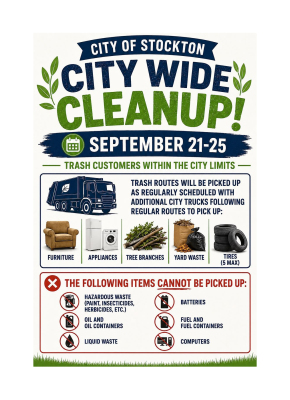 City-Wide Cleanup