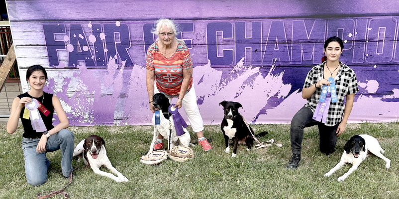 SHOWING OBEDIENCE AND SHOWMANSHIP