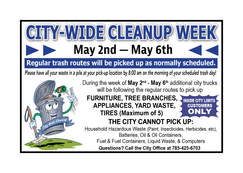 city-wide cleanup