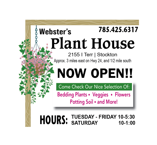 webster's
