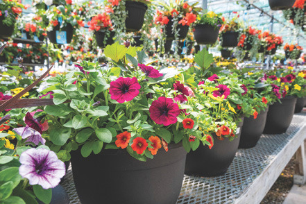 The Plant House at Hrabe Hriver Crossing is now open!