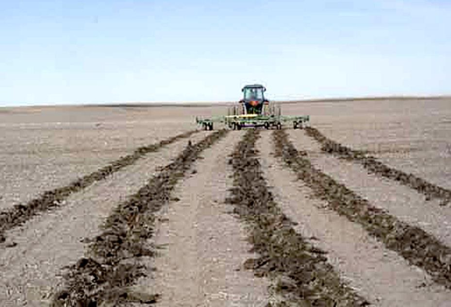 Soil erosion caused by wind