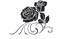 Alt Text for Image