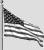 Alt Text for Image
