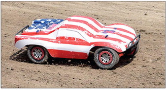 RC Car Racing on Saturday afternoon of the Fair