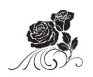 Alt Text for Image