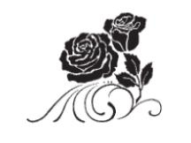Alt Text for Image