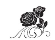 Alt Text for Image