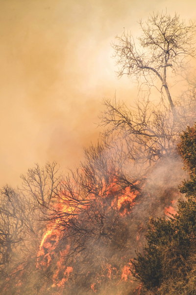 Burn ban