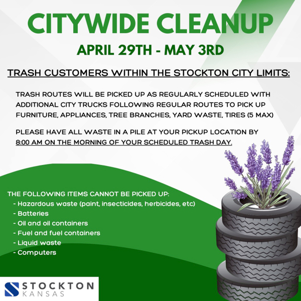 citywide cleanup