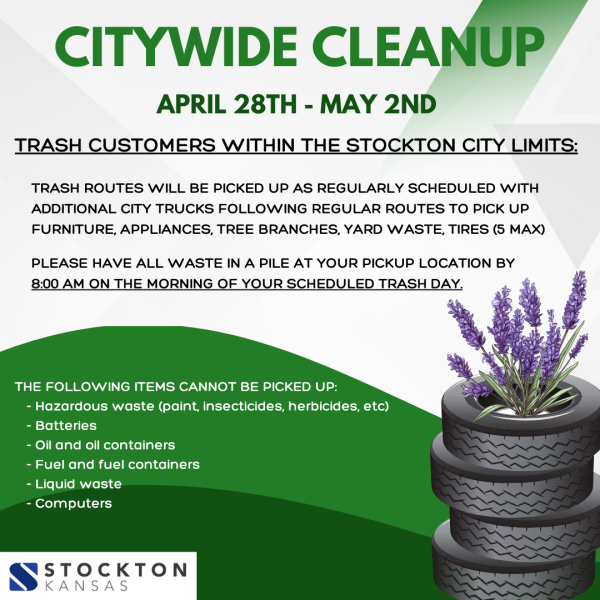 citywide cleanup