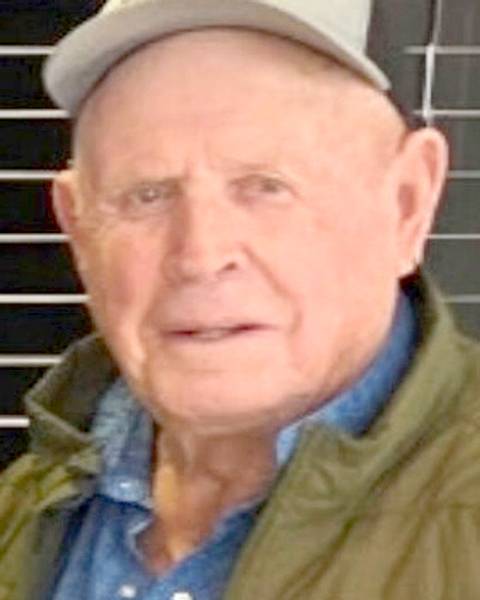 Dan Collins