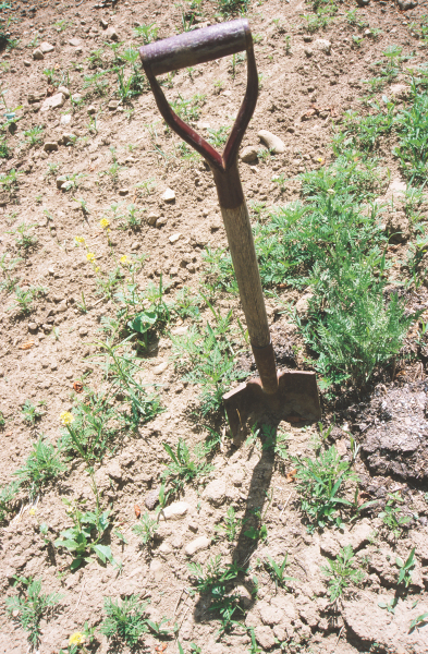 Drought Alert