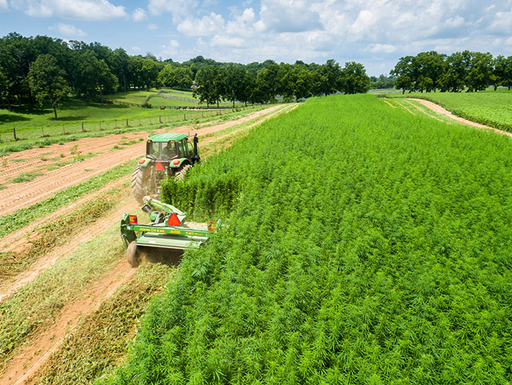 Hemp in Kansas
