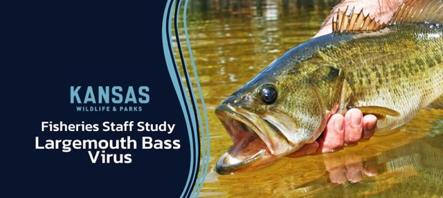 Kansas Fisheries