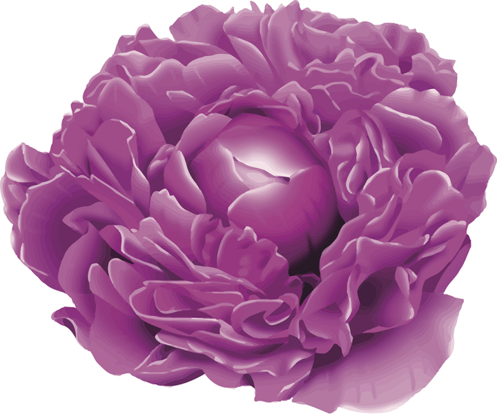 Peony