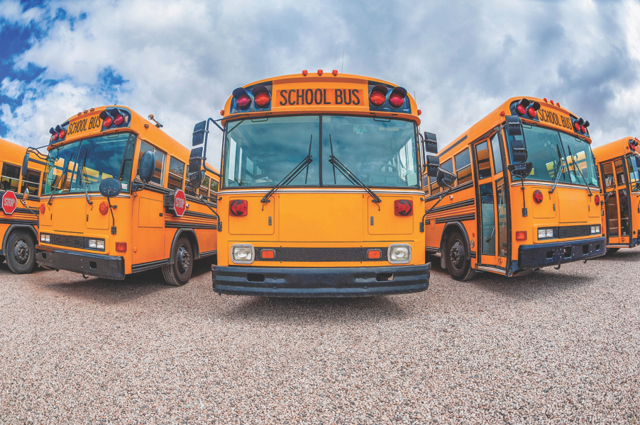 School Buses