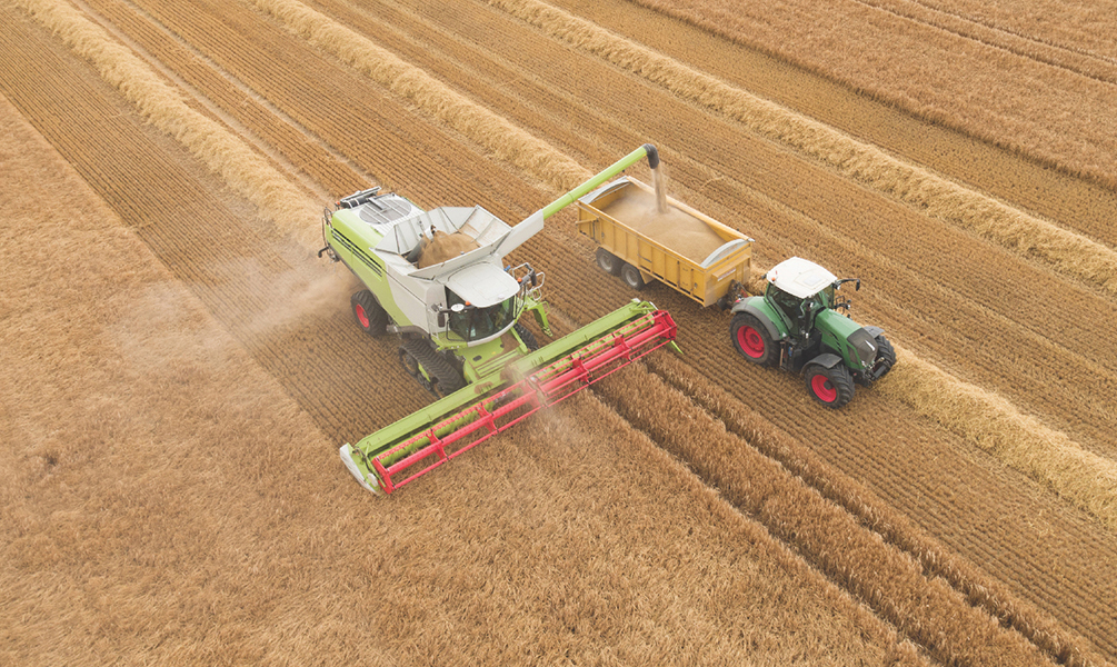 Wheat Harvesting