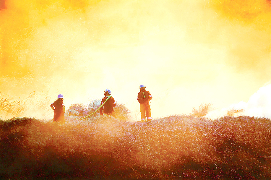 Wildfires