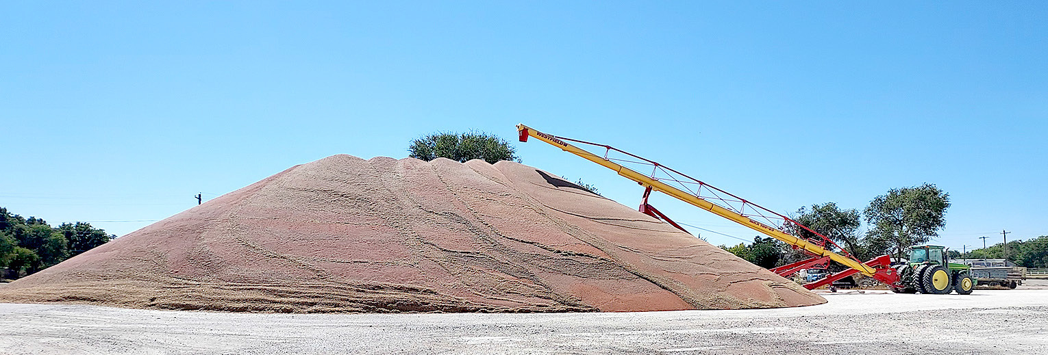 AS OF MONDAY, OCTOBER 9TH, the Stockton Farmers Union Elevator has 78,000 bushels of milo, 60,000 bushels of corn, and 10,000 bushels of beans. Woodston Coop has 25,000 bushels of milo, 90,000 bushels of corn, and 18,000 bushels of beans. The milo cutting is just kicking into full gear, with the corn harvest at the halfway point. The bean harvest is about 75% complete.