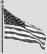 Alt Text for Image