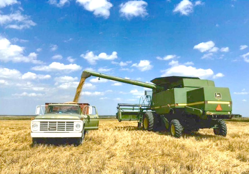 THE 2024 OVERALL GRAND CHAMPION entry was “Krileys’ Wheat Harvest: 2021.” It was submitted by Dayna Kriley. The judge ruled this as “Best of Show” because it brought together the new and vintage equipment still involved in the Michael Kriley operation.