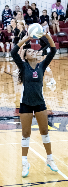 Plainville's Aalayah Becker setting vs. Phillipsburg