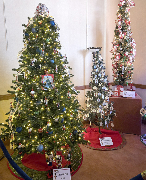 SOME of the Christmas Trees on display in the Carnegie Room in the Stockton Public Library this season are from the Sigma Phi ESA, the Stockton Area Chamber of Commerce, and the Curt Bigge family.