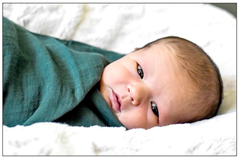 KOHEN SCOTT STRUTT