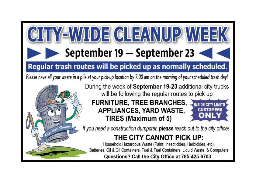 city-wide cleanup
