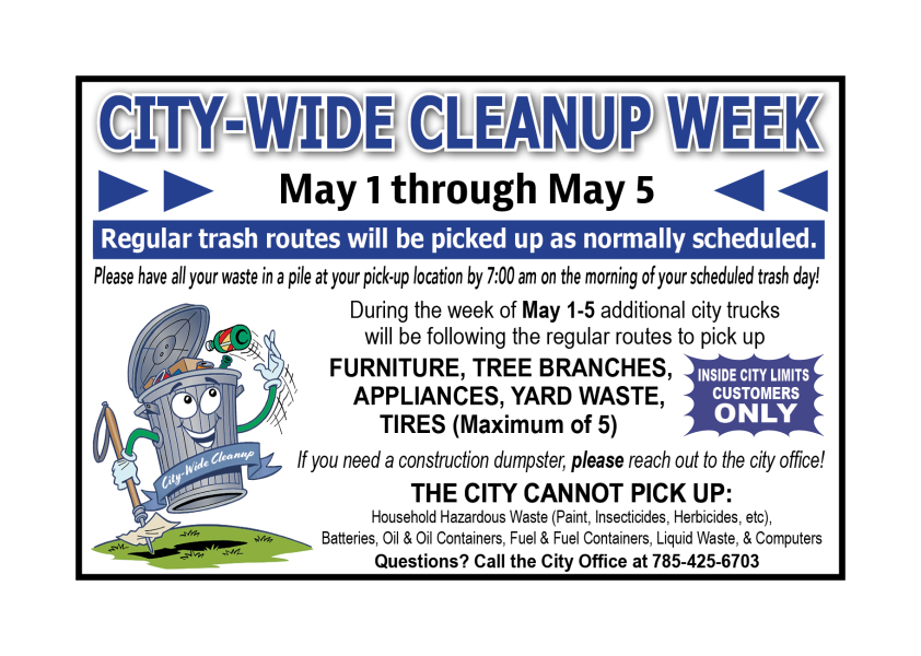 city-wide cleanup