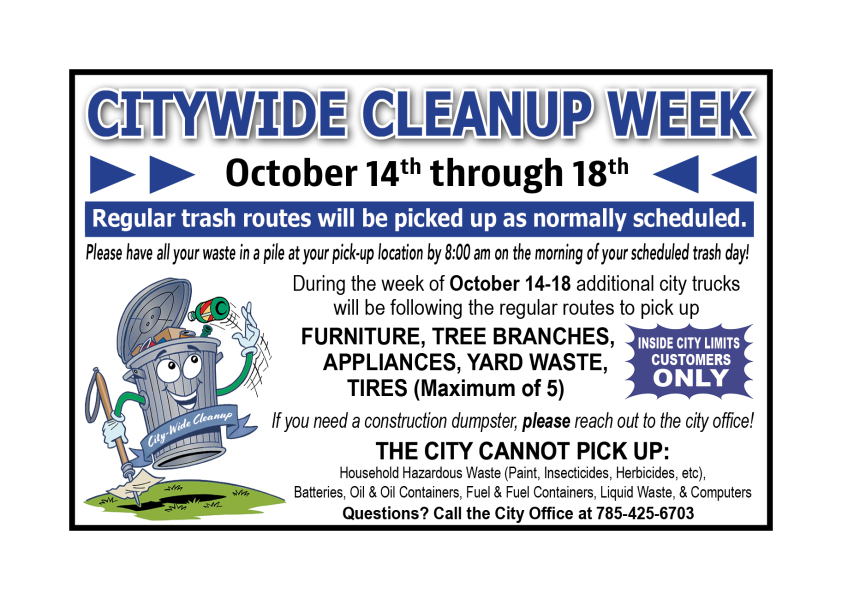 citywide cleanup