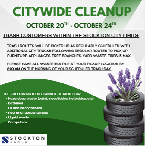 citywide cleanup