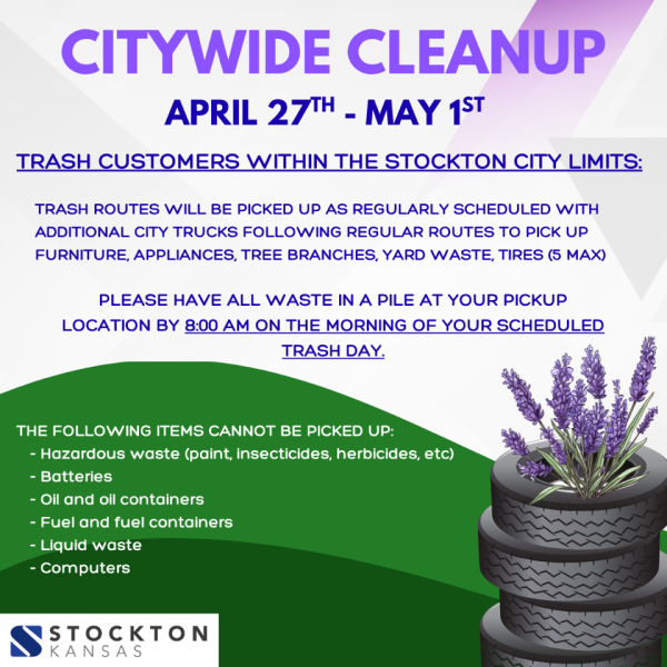 Citywide Cleanup