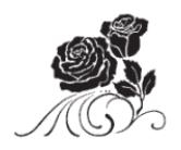 Alt Text for Image