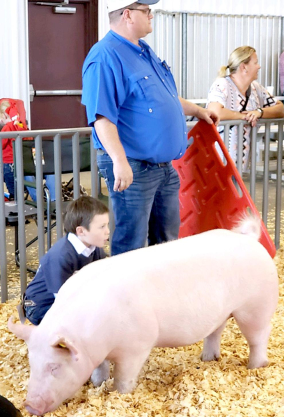 ELI ATKISSON of Stockton and his gilt “Page” placed third in the Commercial Breeding Gilt Class at this year’s KJLS held October 1-3.