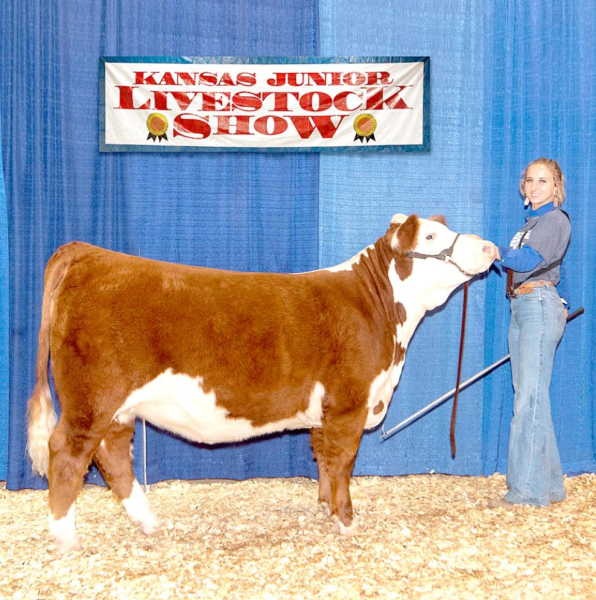 CADY PIEPER of rural Zurich was awarded first-place Hereford Heifer at the KJLS.