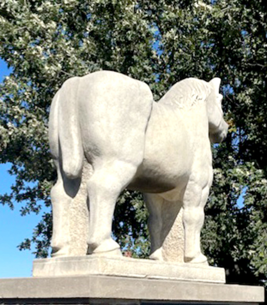THIS IS A PICTURE of the draft horse that stands sentinel outside of the Rooks County Historical Museum, a testament to the travel and work mode of the Kansas pioneers.
